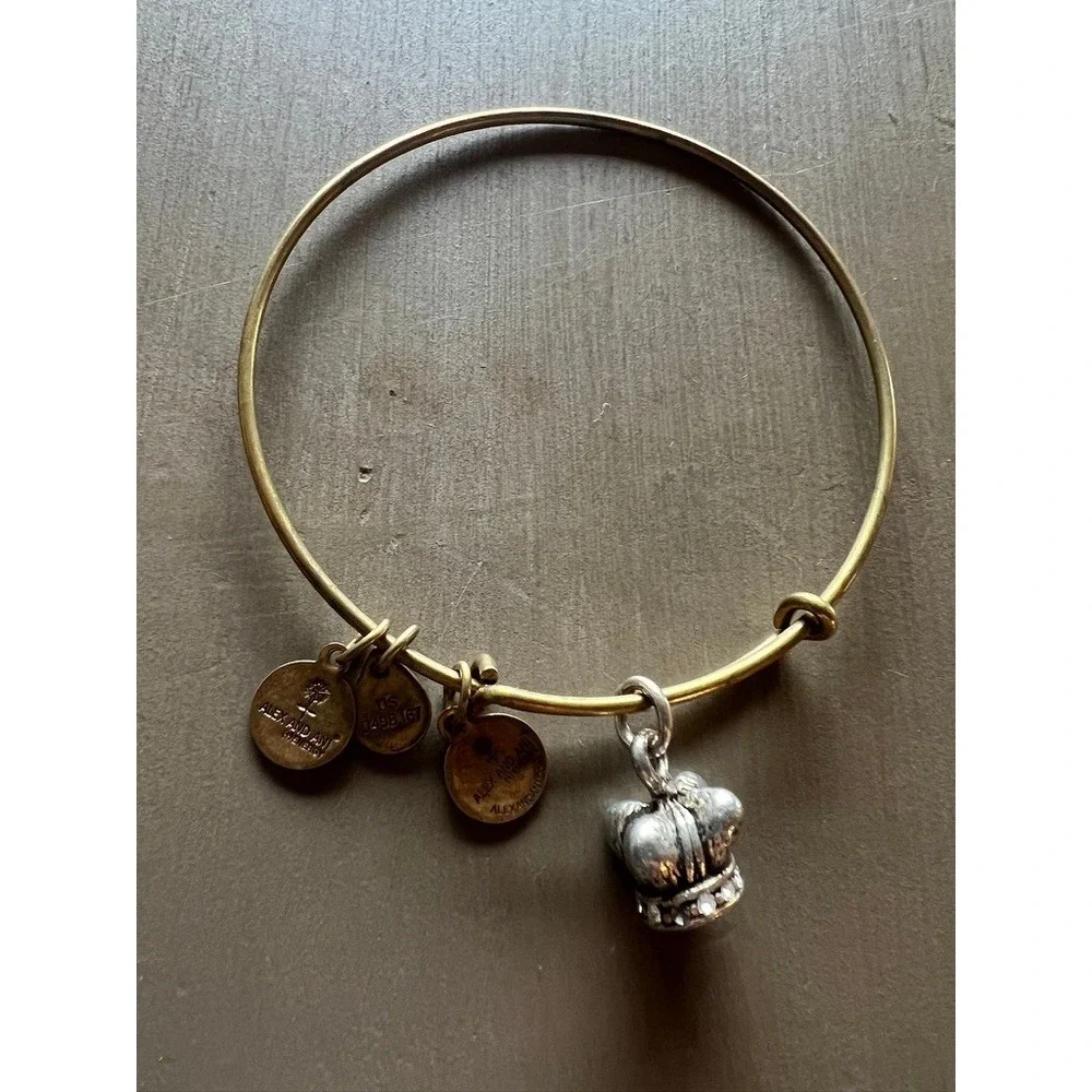 Alex and Ani Bangle Bracelet Lot 11pc Silver Gold Rose Gold Charms